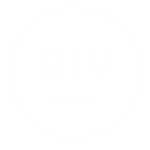 svexotic logo