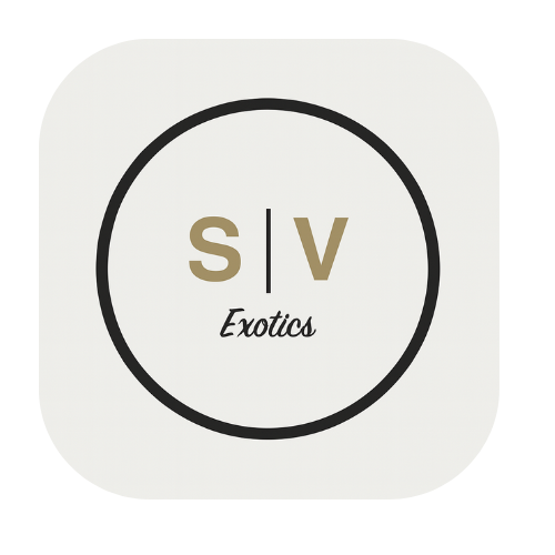 Silicon Valley Exotics logo